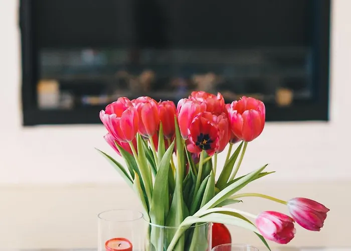 酒店 芬妮别墅酒店 4*