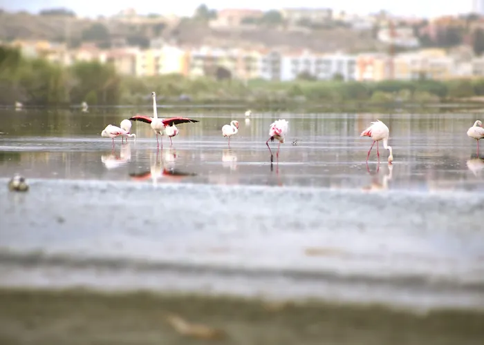 芬妮别墅酒店 酒店
